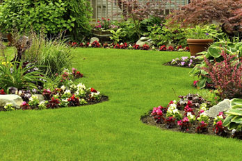 landscaping & lawn cares in Creston