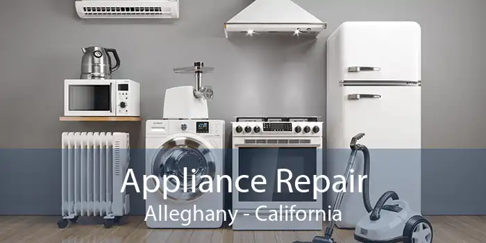 Appliance Repair Alleghany - California