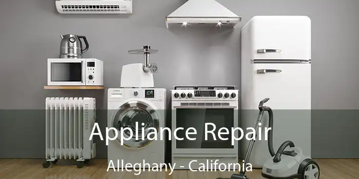 Appliance Repair Alleghany - California