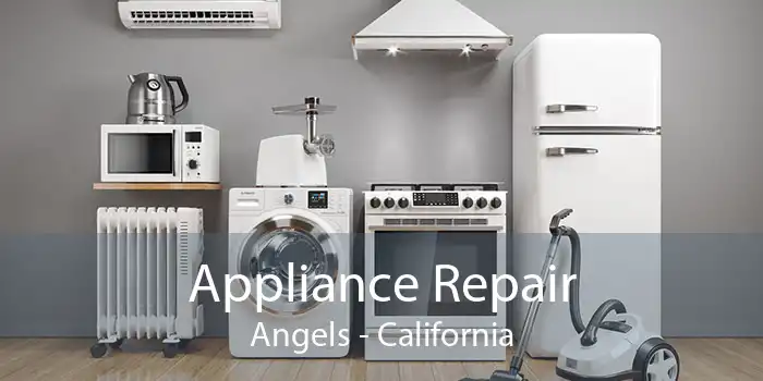 Appliance Repair Angels - California