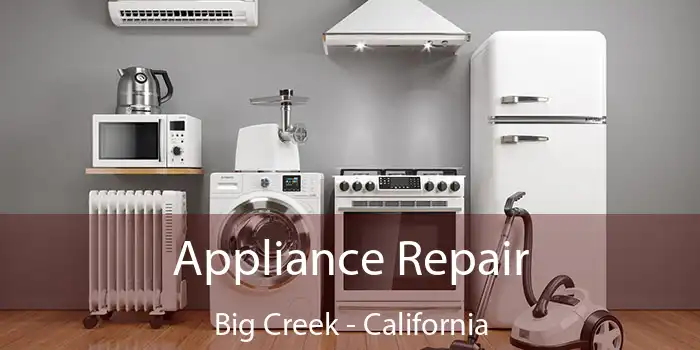 Appliance Repair Big Creek - California