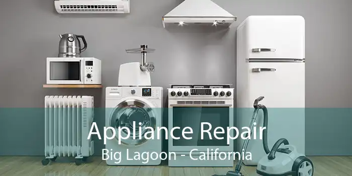Appliance Repair Big Lagoon - California