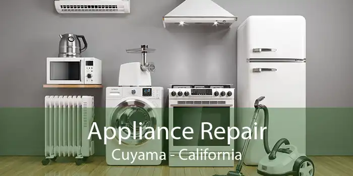 Appliance Repair Cuyama - California