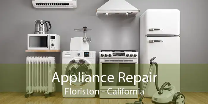 Appliance Repair Floriston - California