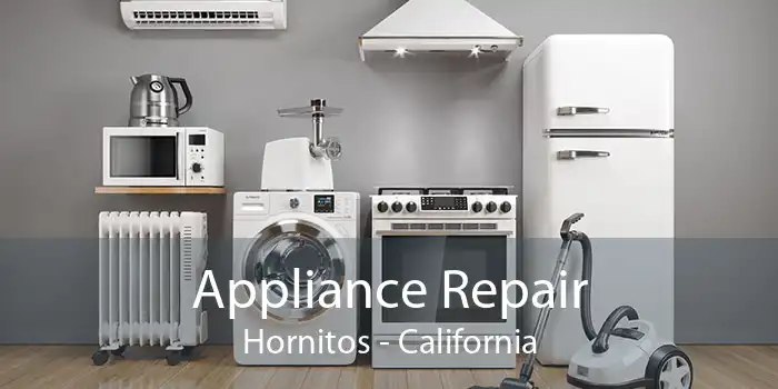 Appliance Repair Hornitos - California
