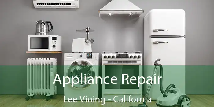 Appliance Repair Lee Vining - California