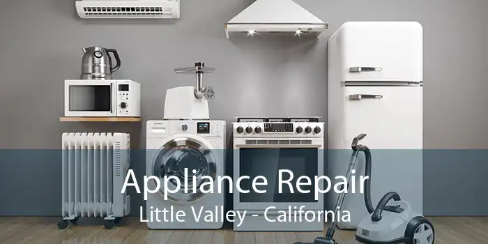Appliance Repair Little Valley - California