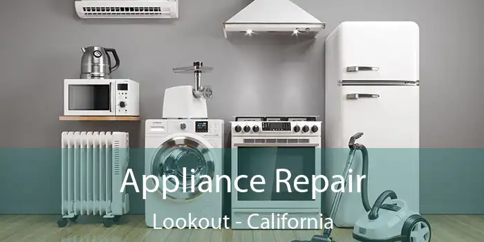 Appliance Repair Lookout - California