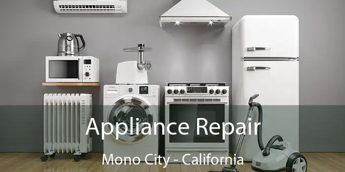 Appliance Repair Mono City - California