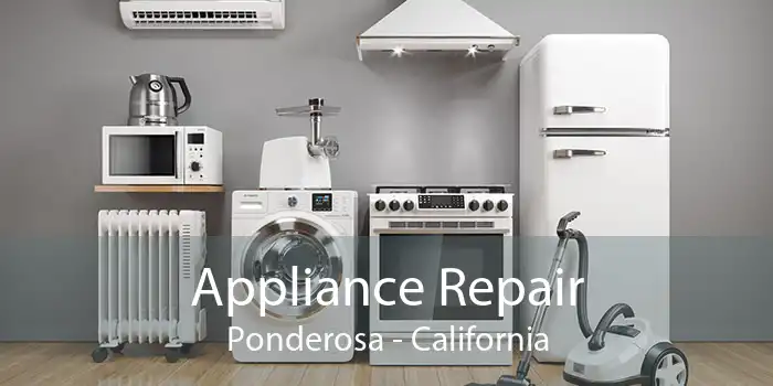 Appliance Repair Ponderosa - California
