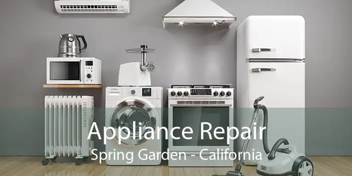 Appliance Repair Spring Garden - California