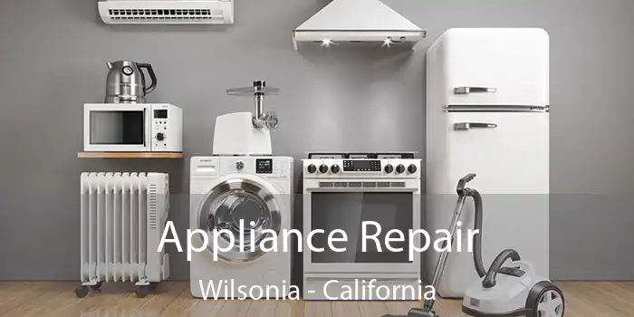 Appliance Repair Wilsonia - California