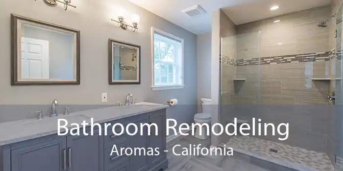 Bathroom Remodeling Aromas - California