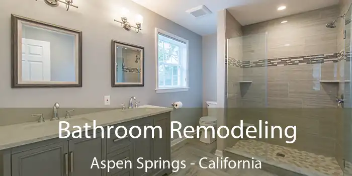 Bathroom Remodeling Aspen Springs - California