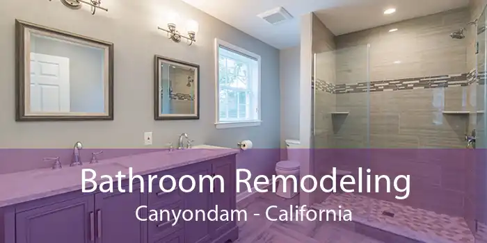 Bathroom Remodeling Canyondam - California