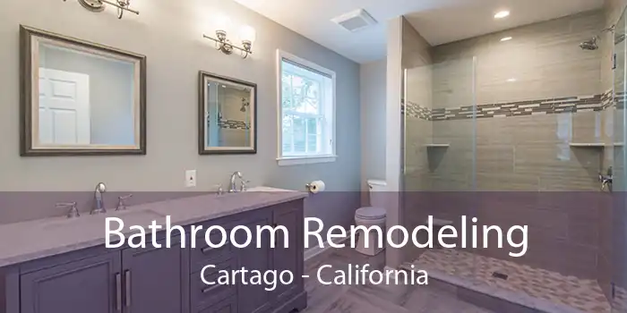 Bathroom Remodeling Cartago - California