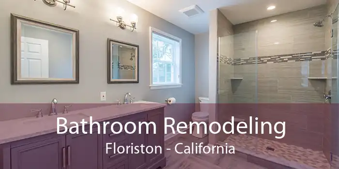 Bathroom Remodeling Floriston - California