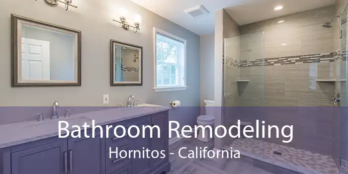 Bathroom Remodeling Hornitos - California