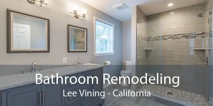 Bathroom Remodeling Lee Vining - California