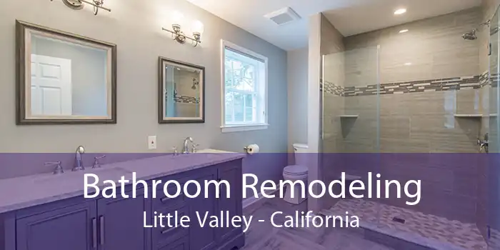 Bathroom Remodeling Little Valley - California