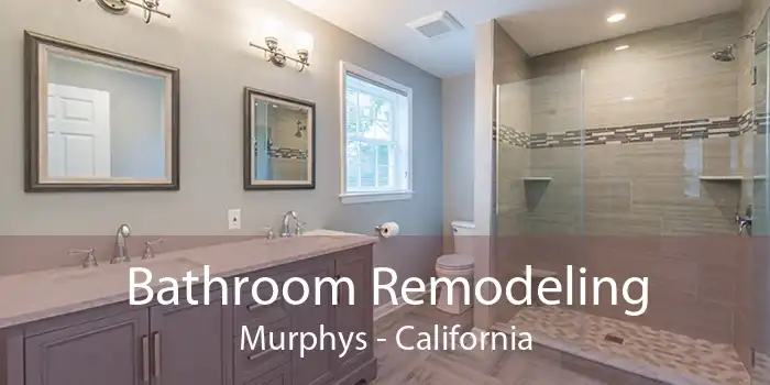 Bathroom Remodeling Murphys - California