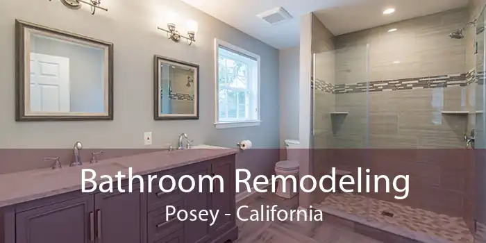 Bathroom Remodeling Posey - California
