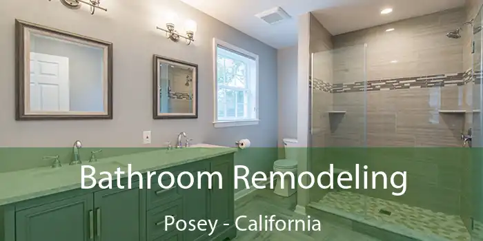 Bathroom Remodeling Posey - California