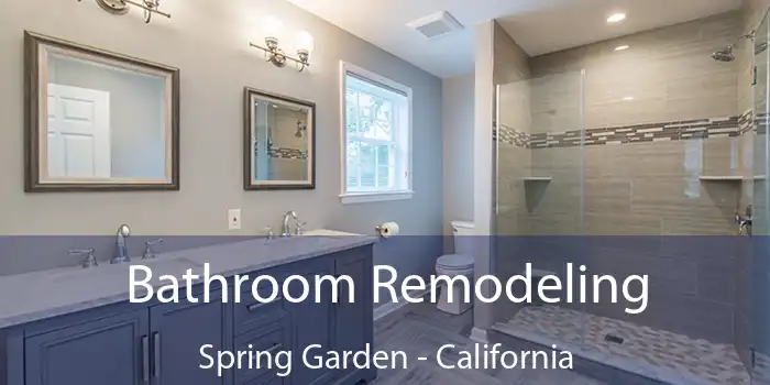 Bathroom Remodeling Spring Garden - California