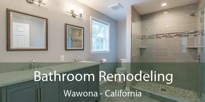 Bathroom Remodeling Wawona - California