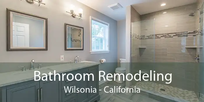Bathroom Remodeling Wilsonia - California