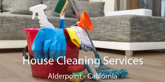 House Cleaning Services Alderpoint - California