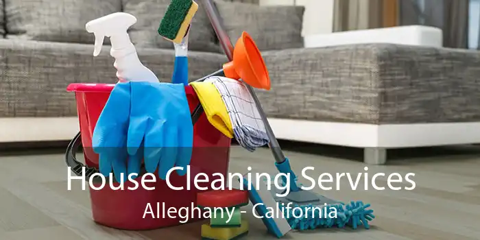 House Cleaning Services Alleghany - California
