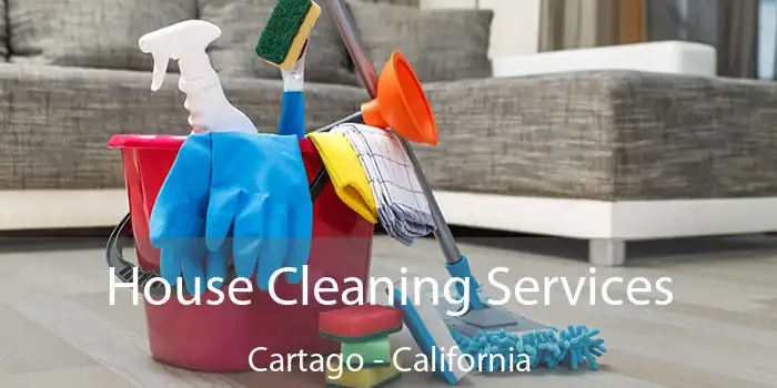 House Cleaning Services Cartago - California