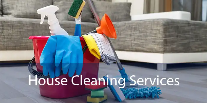 House Cleaning Services 