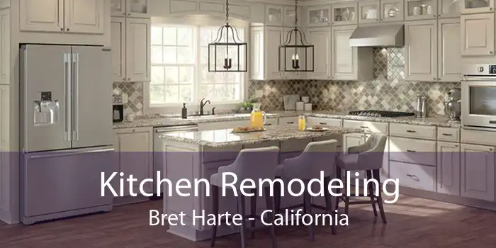 Kitchen Remodeling Bret Harte - California
