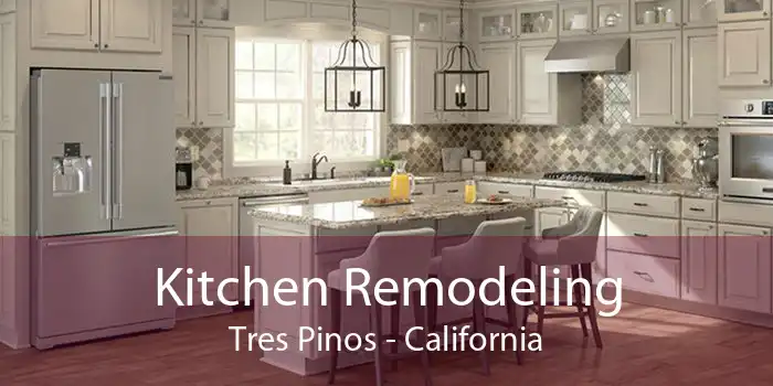 Kitchen Remodeling Tres Pinos - California