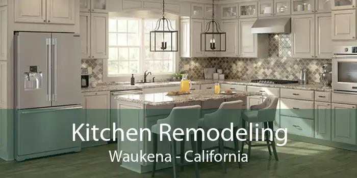 Kitchen Remodeling Waukena - California