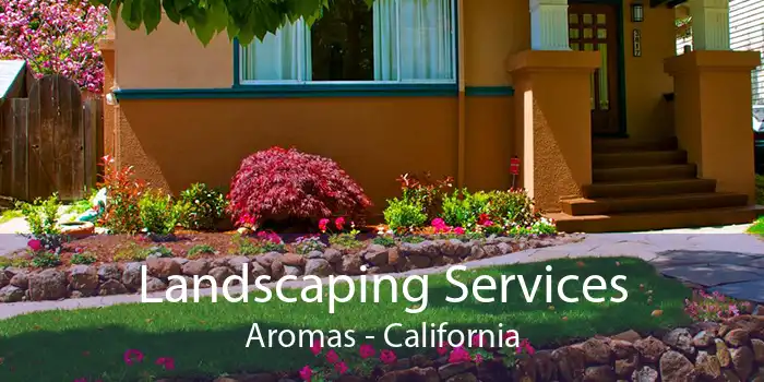 Landscaping Services Aromas - California