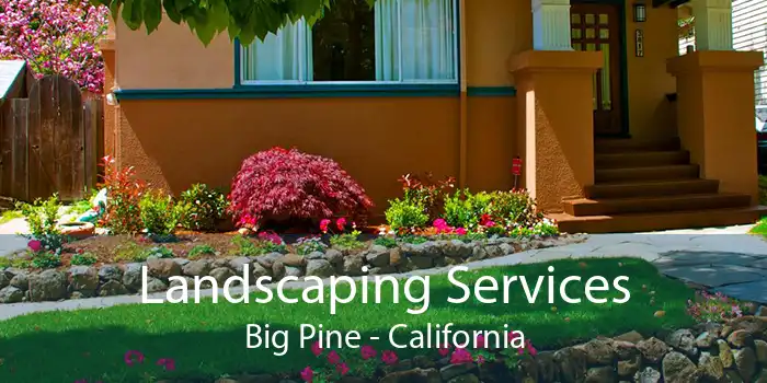 Landscaping Services Big Pine - California