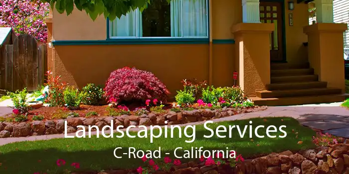 Landscaping Services C-Road - California