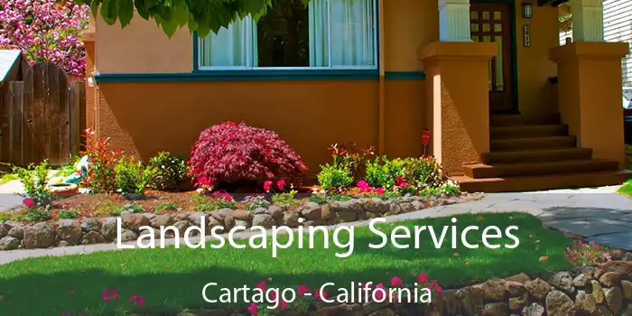 Landscaping Services Cartago - California