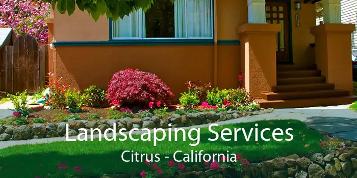 Landscaping Services Citrus - California