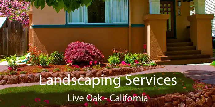 Landscaping Services Live Oak - California