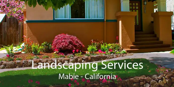 Landscaping Services Mabie - California