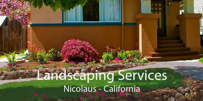 Landscaping Services Nicolaus - California