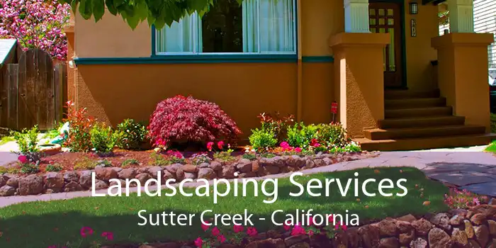 Landscaping Services Sutter Creek - California