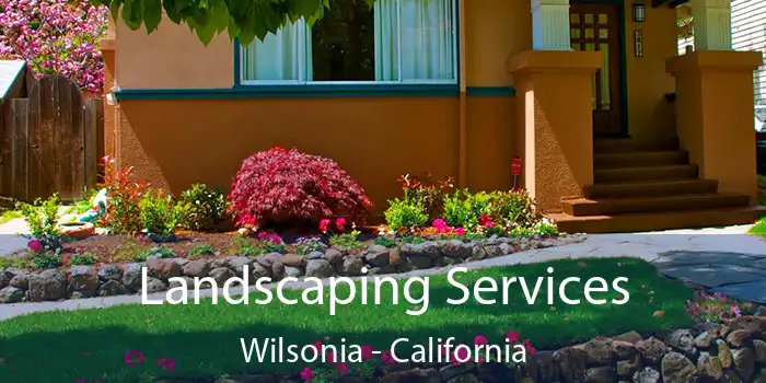 Landscaping Services Wilsonia - California