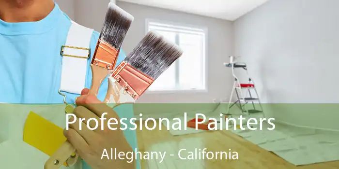 Professional Painters Alleghany - California