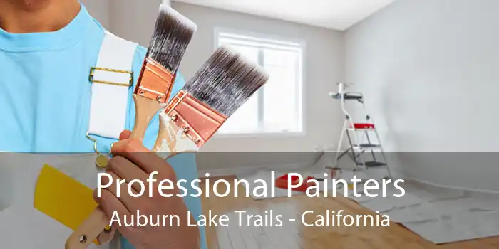 Professional Painters Auburn Lake Trails - California