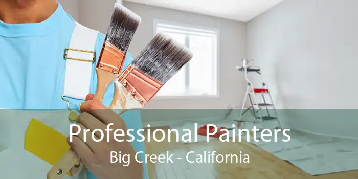 Professional Painters Big Creek - California